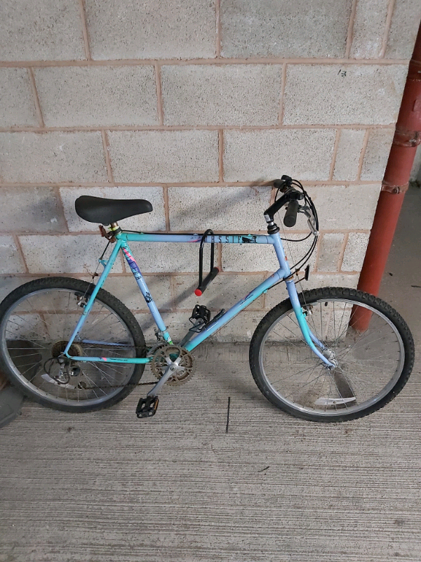 raleigh massif mountain bike